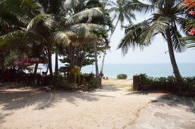 Pine Bungalow