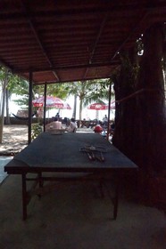 Pine Bungalow