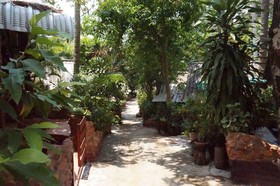 Pine Bungalow