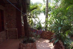 Pine Bungalow