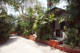 Pine Bungalow