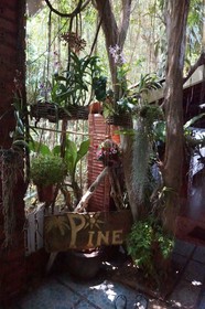 Pine Bungalow