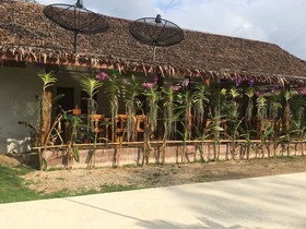 Pinthong Aonang Villa