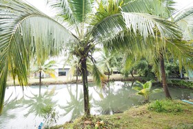 Sai Rung Resort