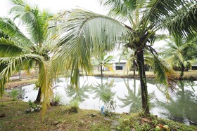 Sai Rung Resort