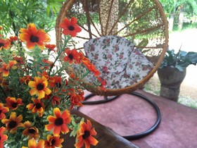The Jasmine Resort