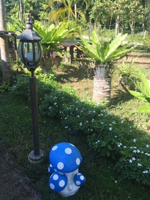 The Jasmine Resort