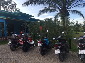 The Jasmine Resort
