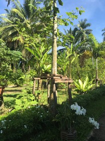 The Jasmine Resort
