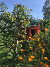 The Jasmine Resort