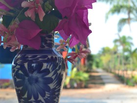 The Jasmine Resort