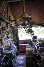 The Lazy Bar and Guesthouse