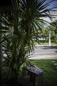 The Lazy Bar and Guesthouse
