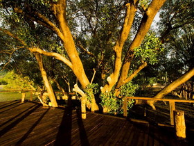 The Nature Home Krabi