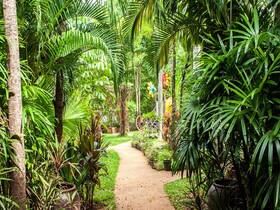 Timber House Resort