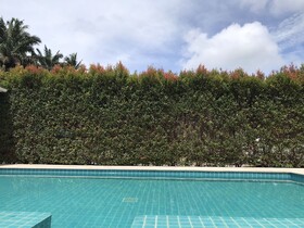 Villa Baan Anna Pool and Spa