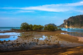Villa Cha-Cha Krabi Beachfront Resort