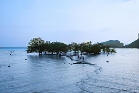 Villa Cha-Cha Krabi Beachfront Resort
