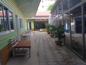 Yellow Sun Backpacker Aonang Krabi