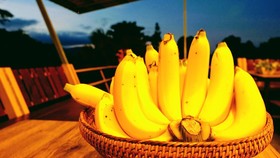 Chongko Farm Stay