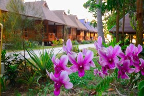 Baanchaylay Resort