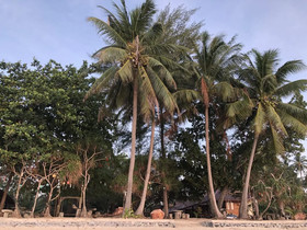 Baanchaylay Resort