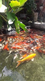 Plainam Resort