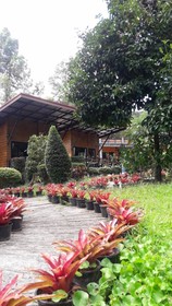 Plainam Resort