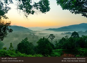 The Imperial Narathiwat