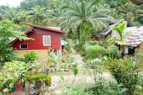 Eco-Logic Thailand