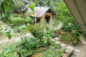 Eco-Logic Thailand