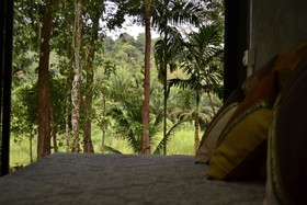 Eco-Logic Thailand