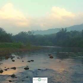 Eco-Logic Thailand