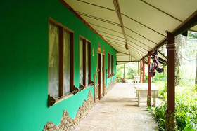 Eco-Logic Thailand