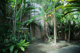 Freedom Hostel at Phi Phi by OYO Rooms