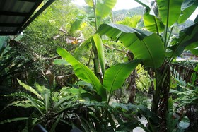 Freedom Hostel at Phi Phi by OYO Rooms