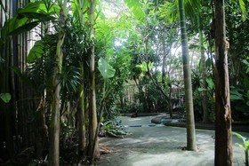 Freedom Hostel at Phi Phi by OYO Rooms