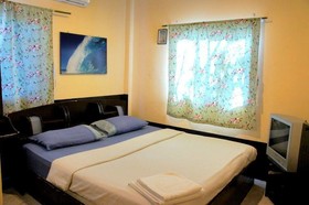Golden Bee Phi Phi