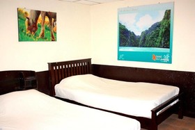 Golden Bee Phi Phi