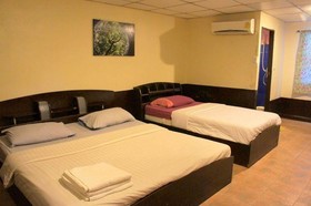 Golden Bee Phi Phi