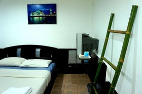 Golden Bee Phi Phi
