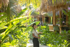 Phi Phi CoCo Beach Resort