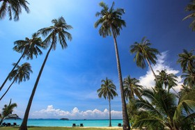 SAii Phi Phi Island Village