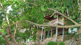 Phi Phi Sunrise Beach Resort