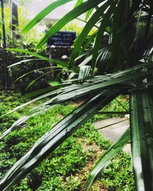 Andaman Talaytai Boutique Resort