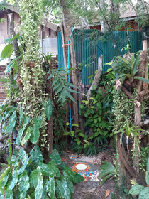 Baan Klong Kleng
