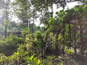 Baan Klong Kleng