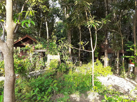 Baan Klong Kleng