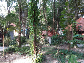 Baan Klong Kleng