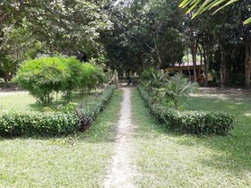 Banana Resort